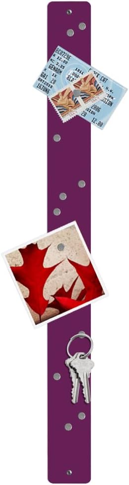 Three by Three Seattle 28 x 2.5 Inch Metal Strip Frameless Magnetic Bulletin Board with 12 Magnets for Memos, Photos, Lists, and More in Office, Home, or School Décor (Plum)