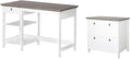 Pemberly Row Set of 2 47" Writing Desk & Lateral File Cabinet in White/Gray Oak