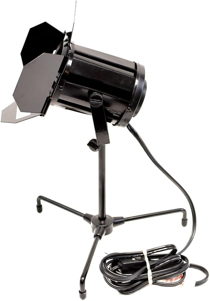 Treasure Gurus Mini Stage Performance Flood Light Film Set Table Desk Lamp Theatre Party Spotlight Decor