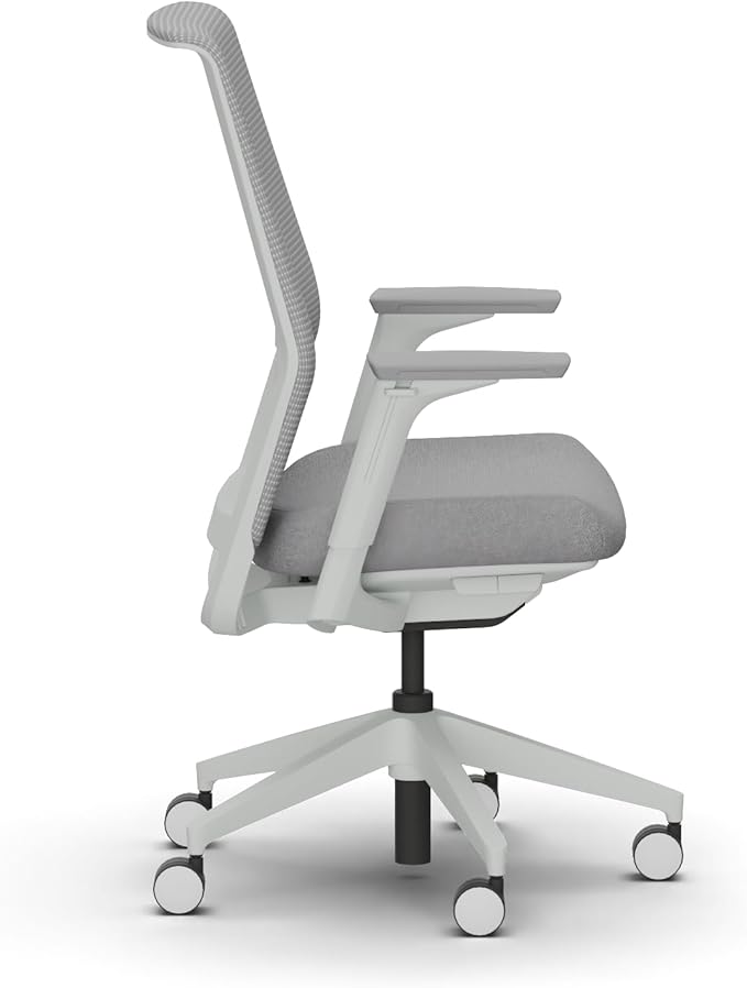 HON Cipher Mesh Back Task Chair, Height-Adjustable Arms, Titanium, Aspen Fabric, Mesh Office Chair with Lumbar Support, Salt Accent, Salt Frame