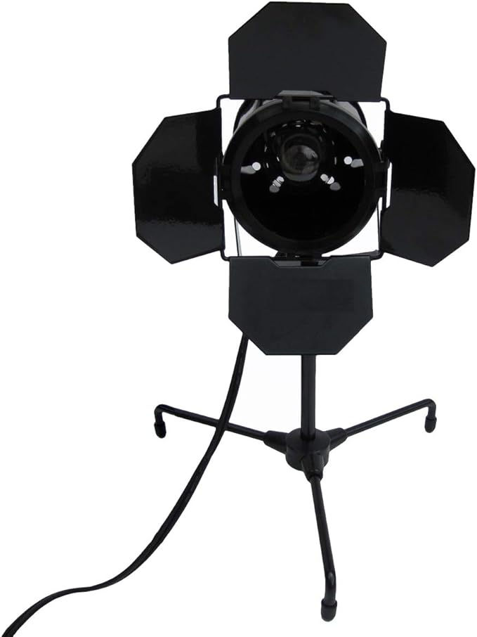 Treasure Gurus Mini Stage Performance Flood Light Film Set Table Desk Lamp Theatre Party Spotlight Decor