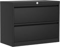 GarveeHome 2-Drawer File Cabinet with Lock, Metal Lateral Filing Cabinets for Letter/Legal Size Documents, Heavy Duty File Storage for Home Office, Black