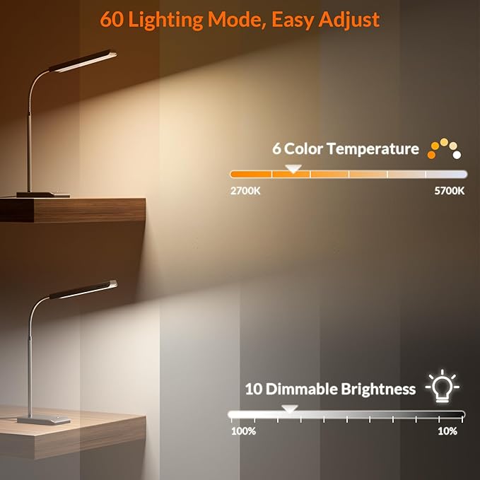 LEPOWER-TEC LED Desk Lamp, 12W Reading Desk Lamp for Office Home with 60 Lighting Modes, Touch Control & Timer Function, 750LM Bright Eye-Caring Gooseneck Desk Light Table Lamp for Study, Work, Silver