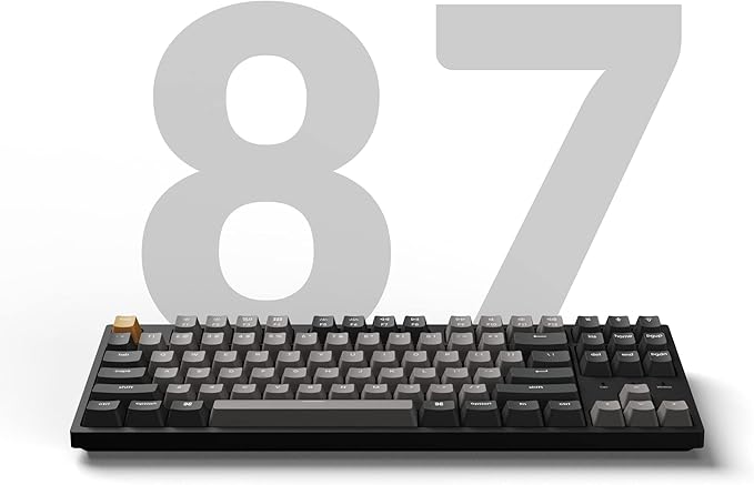 Keychron C1 Pro Wired Custom Mechanical Keyboard, TKL Layout QMK/VIA Programmable OEM Profile Double-Shot PBT Keycaps White LED Backlight with K Pro Red Switch for Mac Windows Linux