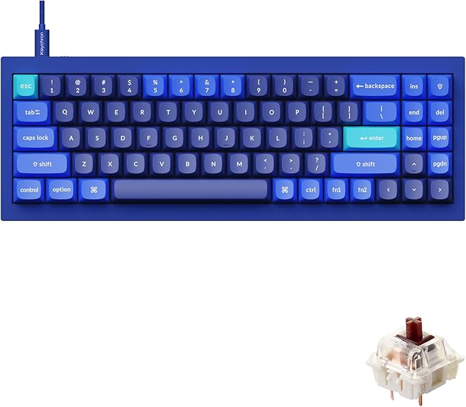 Keychron Q7 Wired Custom Mechanical Keyboard, 70% Layout QMK/VIA Programmable Macro with Hot-swappable Gateron G Pro Brown Switch Double Gasket Compatible with Mac Windows Linux (Blue)