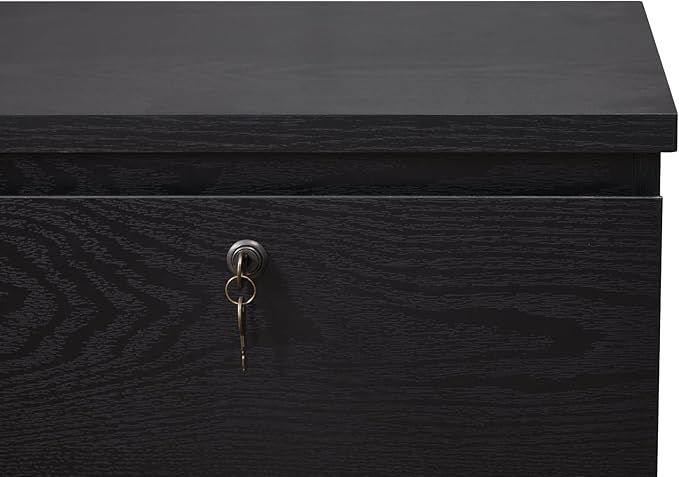kowo 2 Drawer Wood File Cabinet with Lock, Printer Stand, Vertical Filing Cabinet fits A4, Letter, and Legal Size Documents for Home Office, Black