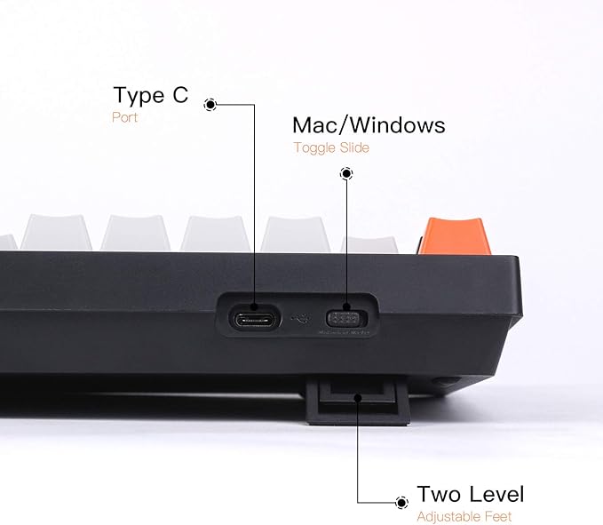 Keychron C2 Full Size Wired Mechanical Keyboard for Mac, Hot-swappable, Gateron G Pro Red Switch, RGB Backlight, 104 Keys ABS keycaps Gaming Keyboard for Windows, USB-C Type-C Braid Cable