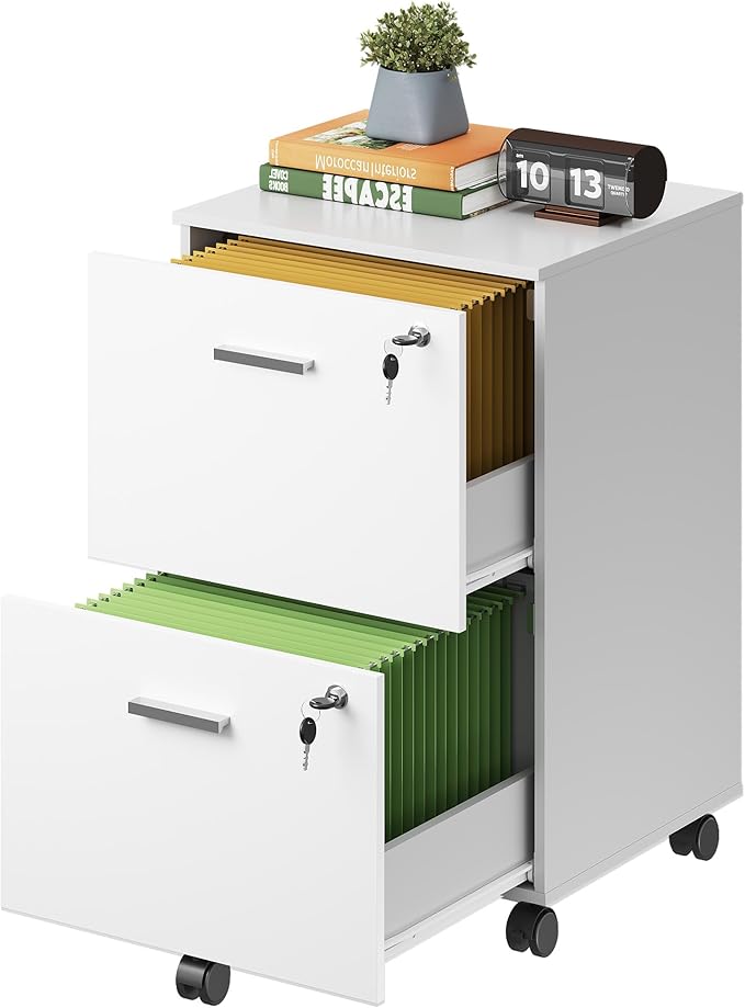 DEVAISE 2 Drawer File Cabinet, Mobile Printer Stand, Wood Filing-Cabinet fits A4 or Letter Size for Home Office, White