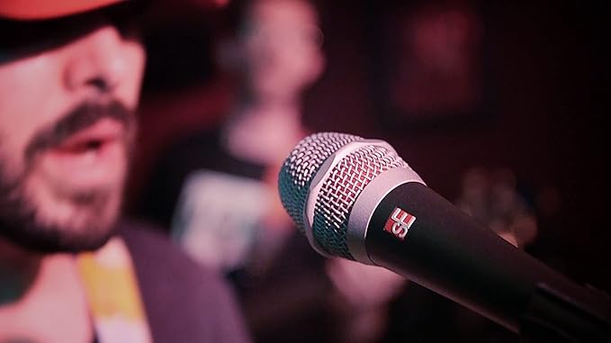 SE ELECTRONICS V7 Dynamic Microphone for Singing, Speech & Studio Recording - XLR Handheld Professional Microphone with Supercardioid Aluminum Voice Coil for Huge Gain Before Feedback - Myles Kennedy