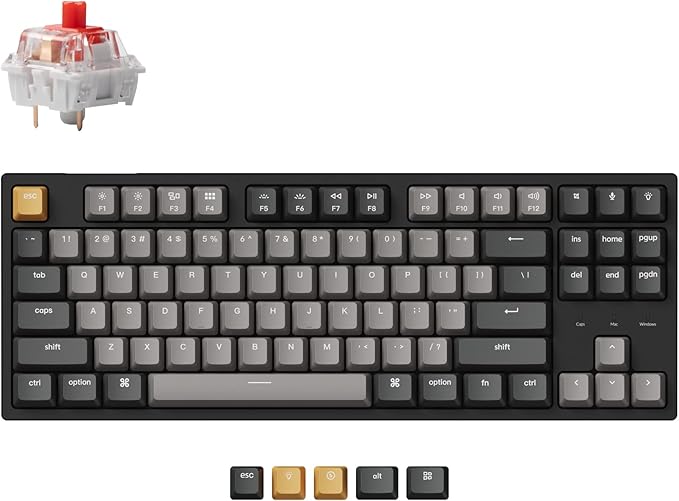 Keychron C1 Pro Wired Custom Mechanical Keyboard, TKL Layout QMK/VIA Programmable OEM Profile Double-Shot PBT Keycaps White LED Backlight with K Pro Red Switch for Mac Windows Linux