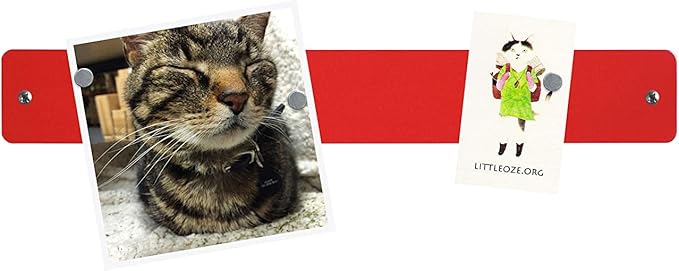 Three by Three Seattle 14 x 2 Inch Metal Mini Strip Frameless Magnetic Bulletin Board with Magnets for Memos, Photos, Lists, and More in Office, Home, or School Décor (2 Pack, Red)