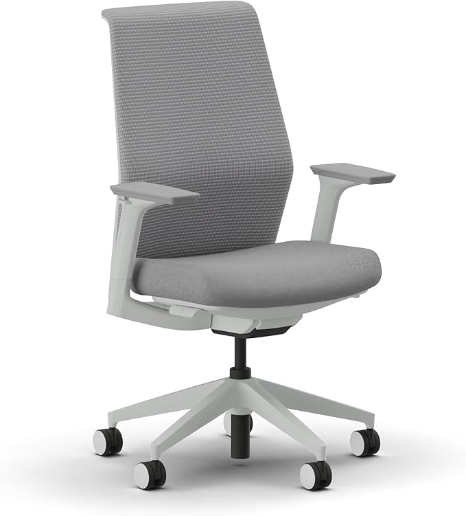 HON Cipher Mesh Back Task Chair, Height-Adjustable Arms, Titanium, Aspen Fabric, Mesh Office Chair with Lumbar Support, Salt Accent, Salt Frame
