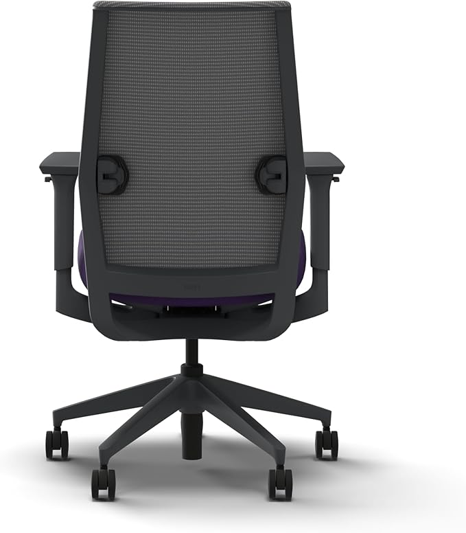 HON Cipher Mesh Office Chair, Standard Cylinder, Height Adjustable Arms, Office Chair with Lumbar Support, Titanium Mesh, Charcoal Frame, Iris