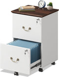 DEVAISE 2 Drawer File Cabinet, Small Rolling Filing Cabinet for Home Office, Printer Stand, for A4, Letter-Size