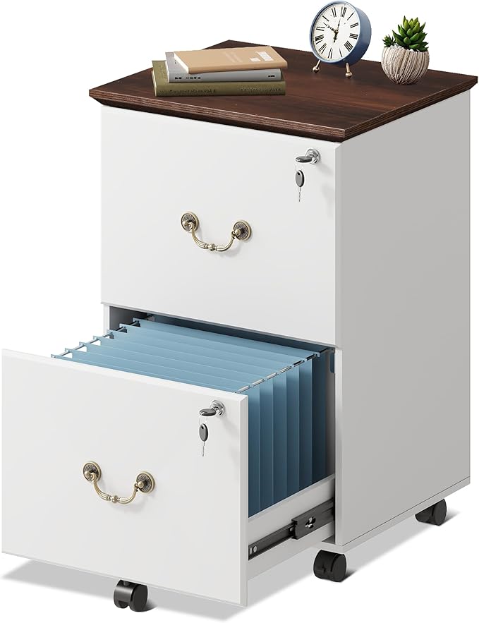 DEVAISE 2 Drawer File Cabinet, Small Rolling Filing Cabinet for Home Office, Printer Stand, for A4, Letter-Size