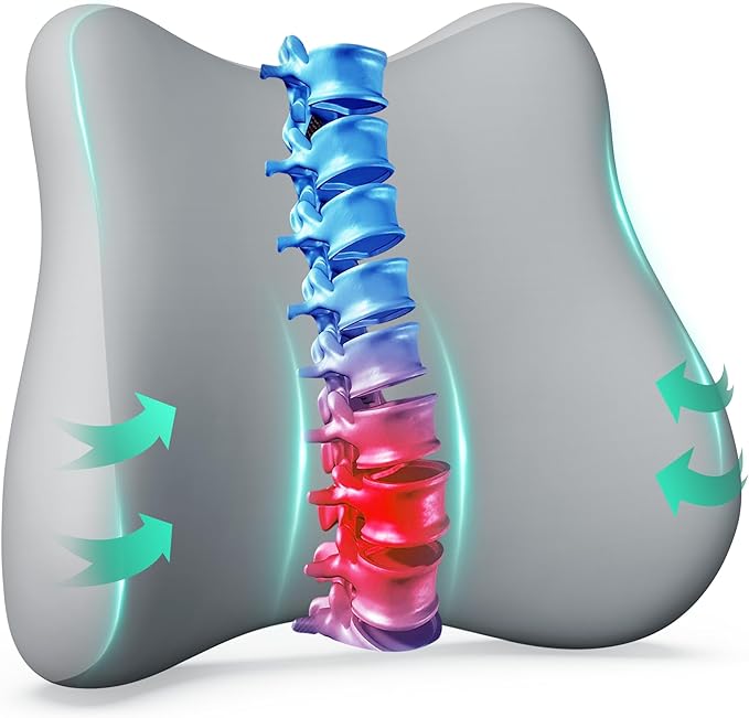 Snailax Lumbar Support Pillow for Office Chair, Memory Foam Back Support Cushion for Back Pain Relief, Back Support Pillow for Home, Office, Car Seat, Gaming Chair, Desk Chair,Adjustable Straps,Gifts