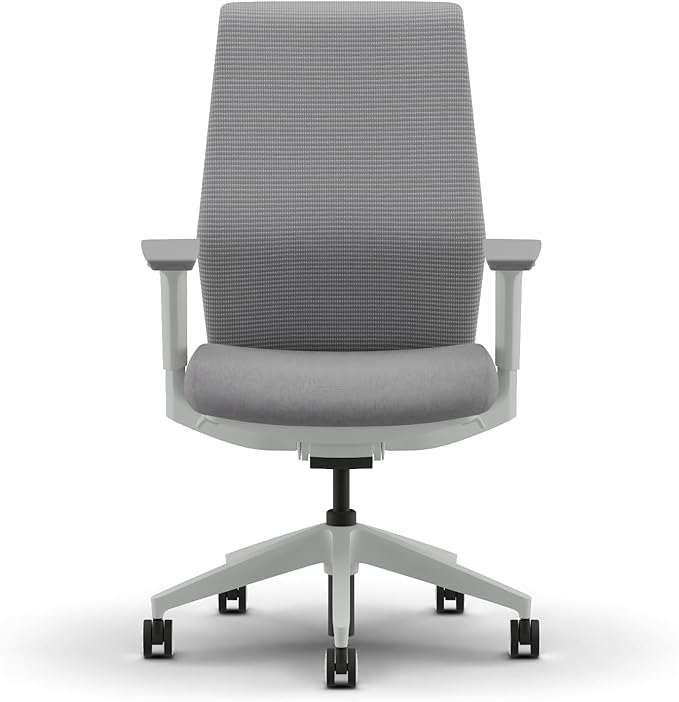 HON Cipher Mesh Back Task Chair, Height-Adjustable Arms, Titanium, Aspen Fabric, Mesh Office Chair with Lumbar Support, Salt Accent, Salt Frame