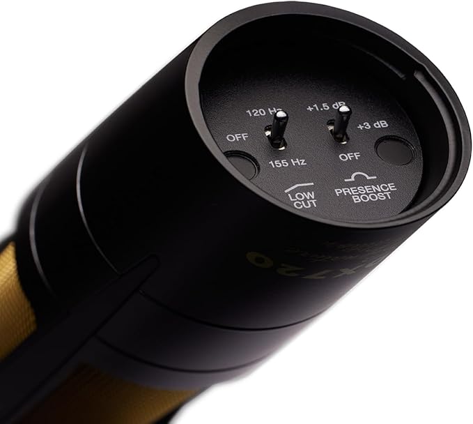 AUDIX PDX720 Large-Diaphragm Dynamic Microphone for Vocals and Broadcast - Black