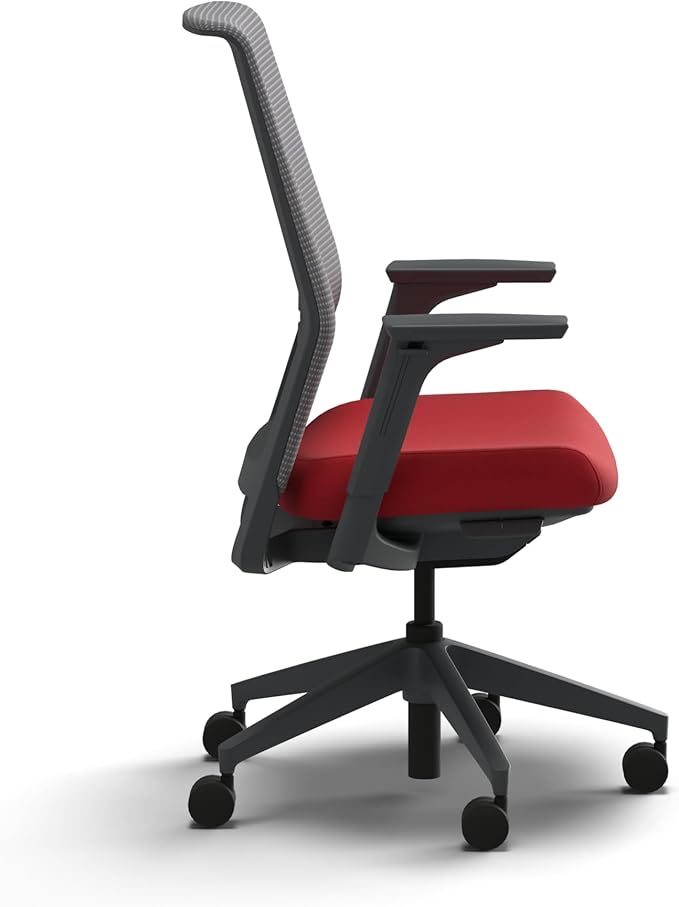 HON Cipher Mesh Office Chair, Standard Cylinder, Height Adjustable Arms, Office Chair with Lumbar Support, Titanium Mesh, Charcoal Frame, Ruby