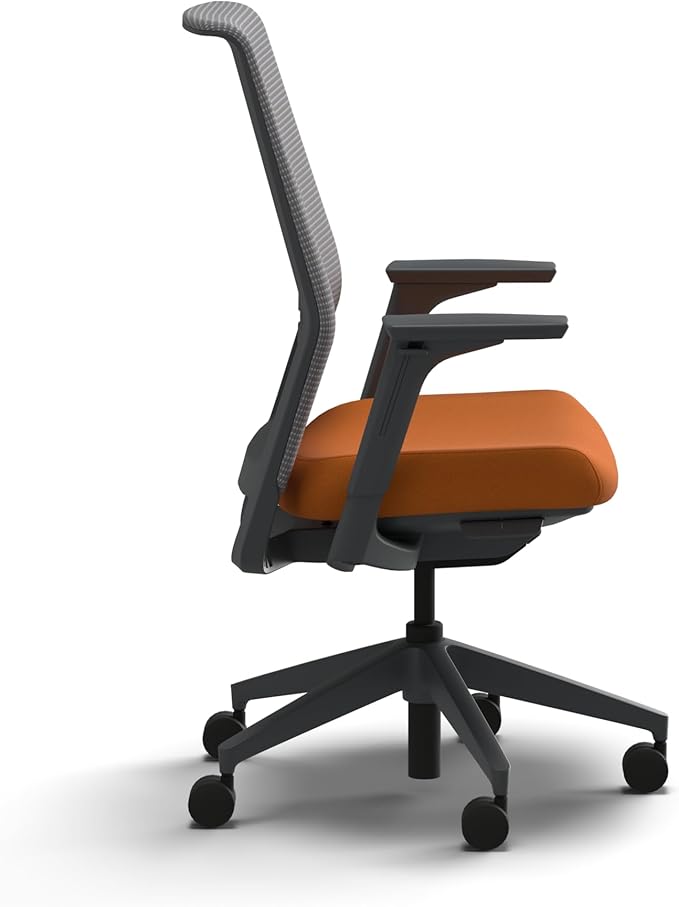 HON Cipher Mesh Office Chair, Standard Cylinder, Height Adjustable Arms, Office Chair with Lumbar Support, Titanium Mesh, Charcoal Frame, Apricot