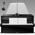 Piano Desk Lamp, 2-in-1 LED Piano Light for Upright Digital Grand Piano, 10W Flexible Gooseneck Table Lamp with 3 Color Modes×10 Brightness for Home Office Bedroom, Black (With Base and Clamp)