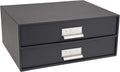 Bigso Box of Sweden Birger 2-Drawer Fiberboard Label Frame Document Letter Box | Desktop Drawers for Loose Papers, Documents with Metal Label Holder | 13.1" x 10" x 5.7" | Dark Grey