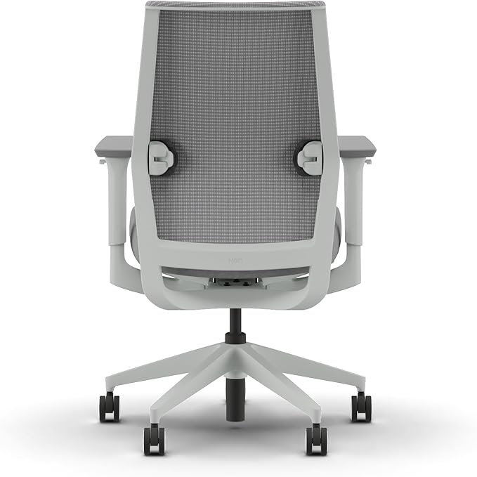 HON Cipher Mesh Back Task Chair, Height-Adjustable Arms, Titanium, Aspen Fabric, Mesh Office Chair with Lumbar Support, Salt Accent, Salt Frame