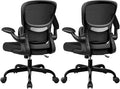 ALLGOD Ergonomic Office Chair, Breathable Mesh Ergonomic Desk Chair with Lumbar Support, Flip-up Armrests, Computer Chairs Comfortable for Home, Office, Work, Standard, 2 Pack
