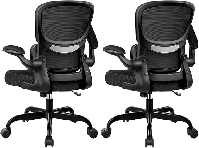 ALLGOD Ergonomic Office Chair, Breathable Mesh Ergonomic Desk Chair with Lumbar Support, Flip-up Armrests, Computer Chairs Comfortable for Home, Office, Work, Standard, 2 Pack