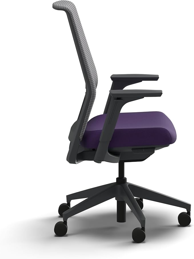HON Cipher Mesh Office Chair, Standard Cylinder, Height Adjustable Arms, Office Chair with Lumbar Support, Titanium Mesh, Charcoal Frame, Iris