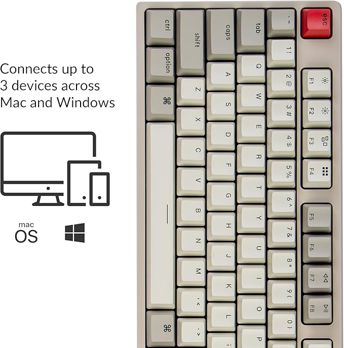 Keychron C2 Full Size Hot-swappable Wired Mechanical Keyboard Compatible with Mac, Keychron Red Switch, 104 Keys ABS Retro Color Keycaps Gaming Keyboard for Windows, USB-C Type-C Braid Cable