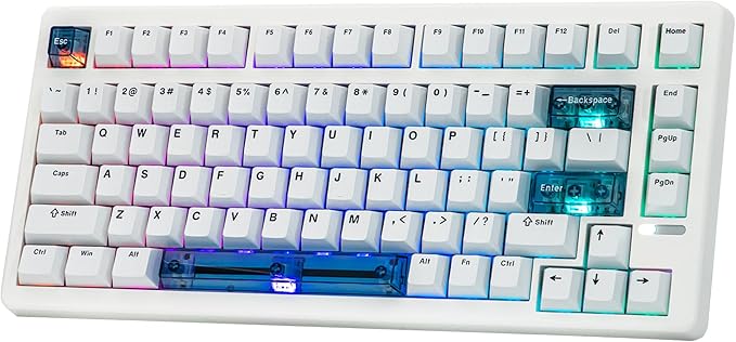 EPOMAKER HE80 Hall Effect Gaming Keyboard, 8K Polling & 32K Scan, Creamy Gasket, DKS, SOCD, Hot-Swappable, RGB Backlit, Wired Gaming Keyboard for PC & Mac (White)