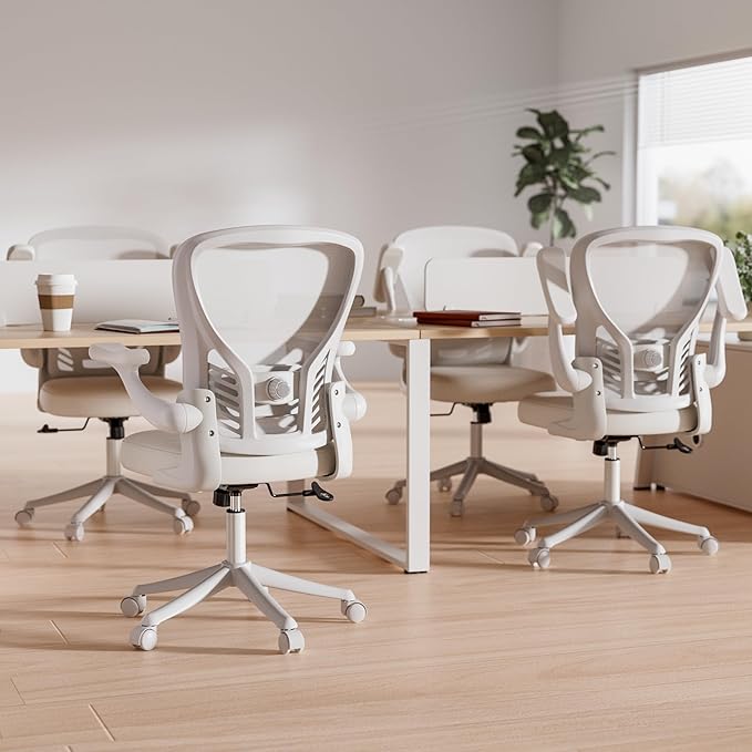 GYI Office Chair Ergonomic, Computer Desk Chair with Mesh Back, Adjustable Lumbar Support, 3D Flip-up Arms, Wheels, All White