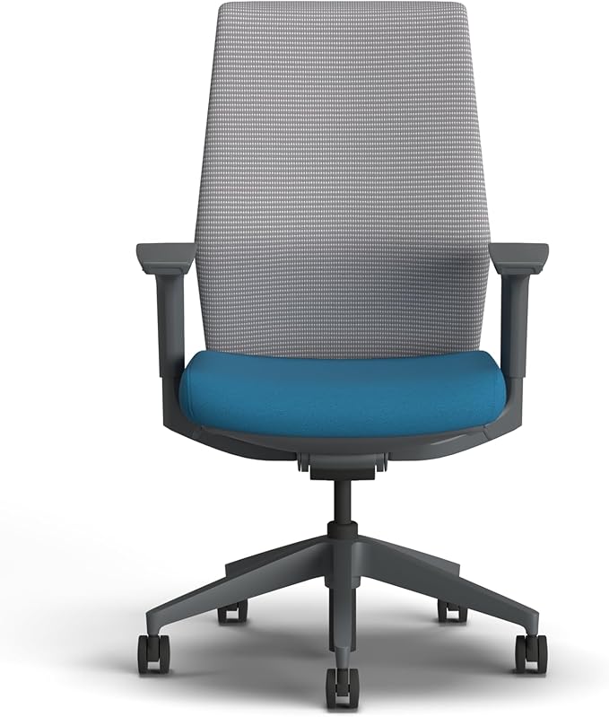 HON Cipher Mesh Office Chair, Standard Cylinder, Height Adjustable Arms, Office Chair with Lumbar Support, Titanium Mesh, Charcoal Frame, Peacock