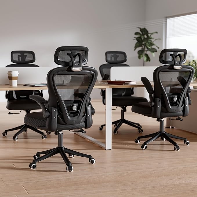 SeekFancy Ergonomic Office Chair M903, Computer Desk Chair with Wheels, High Back Mesh Office Chair with Adjustable Lumbar Support, Headrest, Flip-Up Armrest, Black