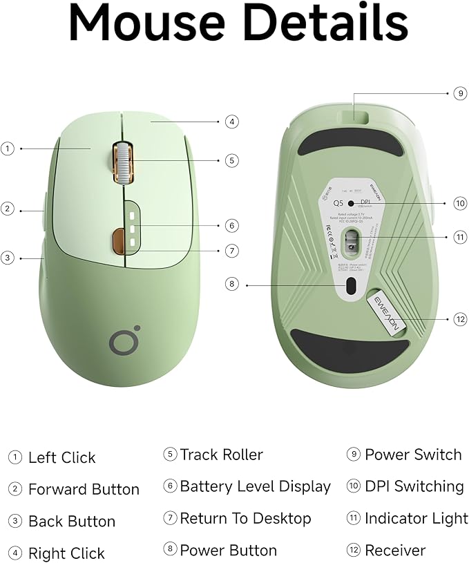 EWEADN Q5 Wireless Mouse, Bluetooth & 2.4G Quiet Computer Mouses with Battery Level Display, 1600 DPI, Ergonomic Office Mouse, 6 Button Portable Cute Computer Mouse for Laptop/PC/Mac - Green