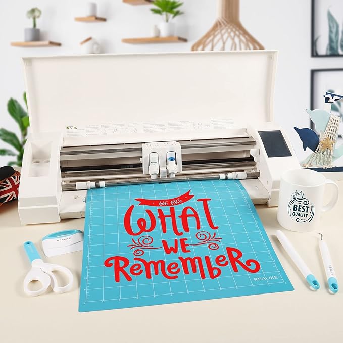 REALIKE 12x12 Cutting Mat for Silhouette Cameo 5/4/3/2/1 (6 Mats - 2 StandardGrip, 2 LightGrip,2 StrongGrip), Variety Cut Mats Replacement Accessories for Cricut