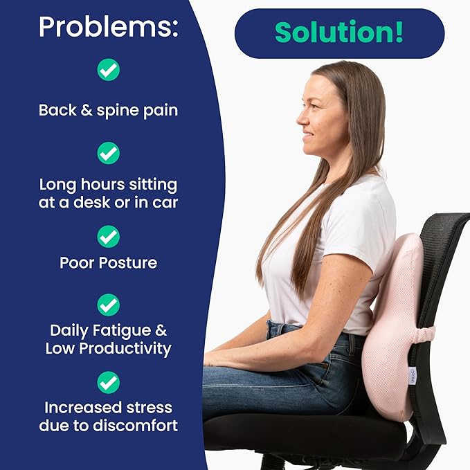 Coushy| Ergonomic Back Relief Cushion| Office Desk Accessories: Chair Cushions, Car Seat Cushion, Office Chair Cushion for Lumbar-Supporting, Support Pillow for Back Pain (Blue)