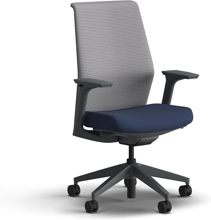 HON Cipher Mesh Office Chair, Standard Cylinder, Height Adjustable Arms, Office Chair with Lumbar Support, Titanium Mesh, Charcoal Frame, Indigo