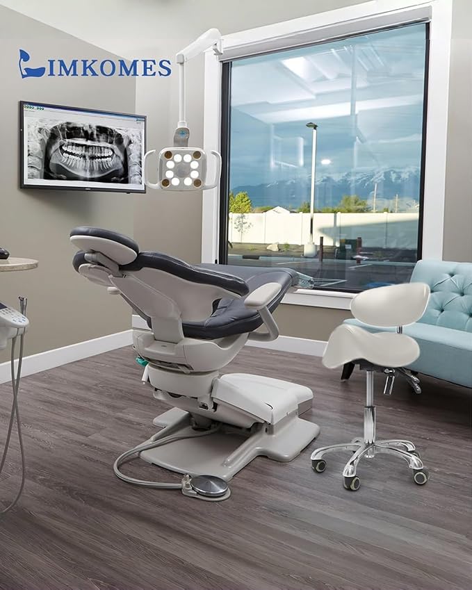 Saddle Stool with Wheels,3-Way Function Rolling Stool with Back Support,Ergonomic Stool Saddle Stool for Hair Stylist for Dentist Salon Tattoo