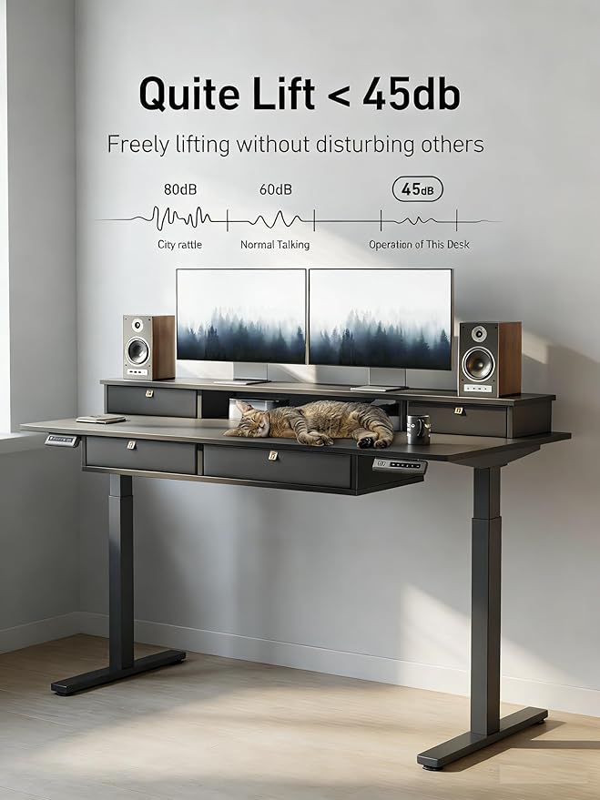CubiCubi 48" x 24" Standing Desk with Drawers, Height Adjustable Electric Workstation, Computer Sit Stand Up Table with Large Storage Shelf 4 Drawers and 2 Hooks, Black