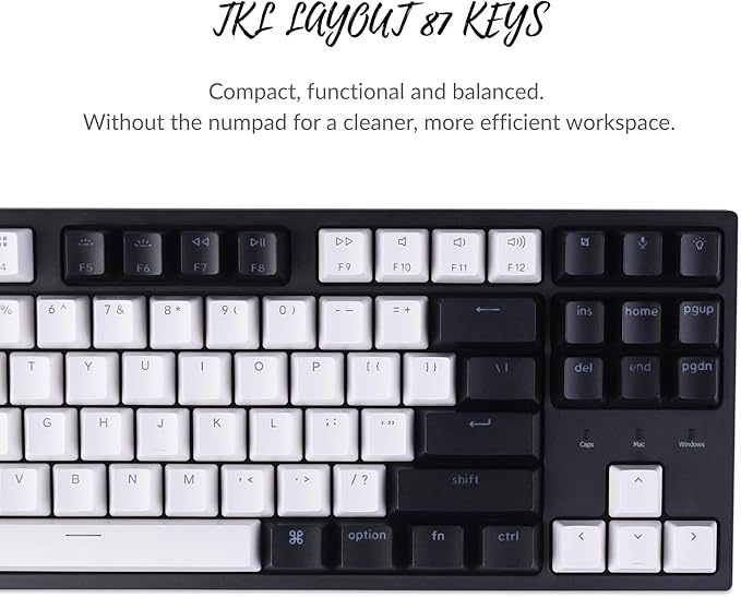 Keychron C1 Wired Mechanical Keyboard TKL, RGB Backlit with Double-Shot ABS Keycaps, 87 Keys Hot-Swappable Pre-lubed Tactile Switch Compatible with Mac Windows