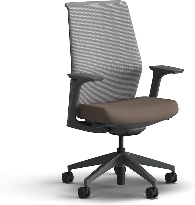 HON Cipher Mesh Office Chair, Standard Cylinder, Height Adjustable Arms, Office Chair with Lumbar Support, Titanium Mesh, Charcoal Frame, Bark