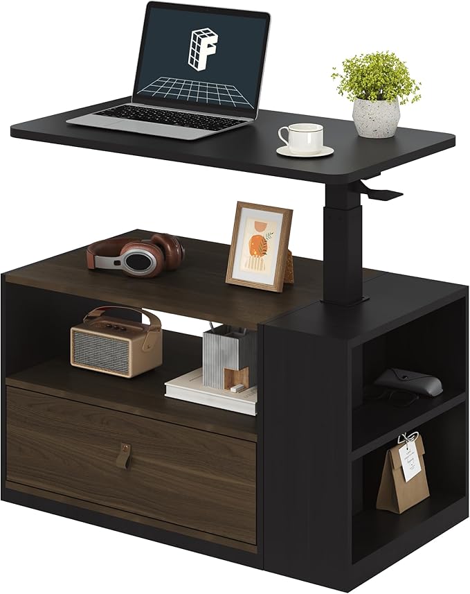 FLEXISPOT H7 CAB Height Adjustable Sit-Stand Computer Workstation Desk with Storage, Pneumatic Lift Laptop Desk with Drawer & Cabinet, Compact Small Space Home Office Desk (25.8"–41.3", Black)