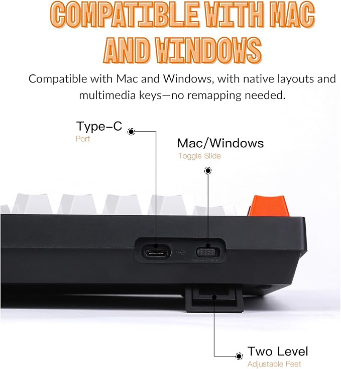 Keychron C2 Full Size 104 Keys USB Type-C Wired Mechanical Gaming Keyboard for Mac Layout, Gateron G Pro Red Switch/RGB Backlight/Double-Shot ABS keycaps Computer Keyboard for Windows Laptop PC