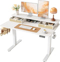 TIQLAB Standing Desk with Two Drawers, Stand Up Standing Desk Adjustable Height, Electric Sit Stand Table with Storage Shelf and Splice Board, 48 * 24 inch, White Wicker
