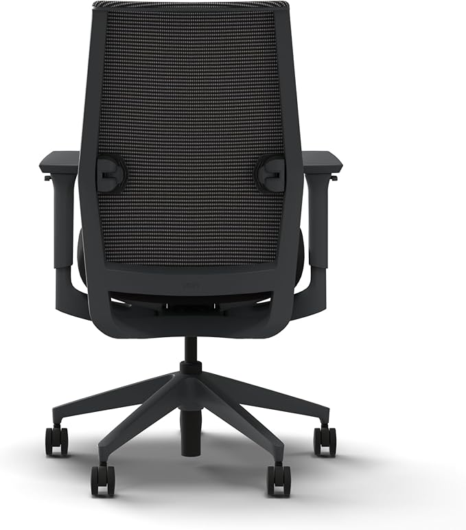 HON Cipher Mesh Office Chair, Standard Cylinder, Height Adjustable Arms, Office Chair with Lumbar Support, Titanium Mesh, Charcoal Frame, Black