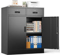 Metal Storage Cabinet with 2 Drawers, 36" H Locking Storage Cabinet, Metal Cabinets with Doors and Shelves for Home, School, Office, Garage, Black
