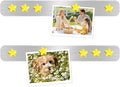 Magnetic Board for Wall - 2Pcs Stainless Iron Magnetic Strips with Adhesive Backing, Magnet Board Bulletin Boards Magnet Strips Memo Board - Includes 10 Yellow Magnets for School Office Kitchen