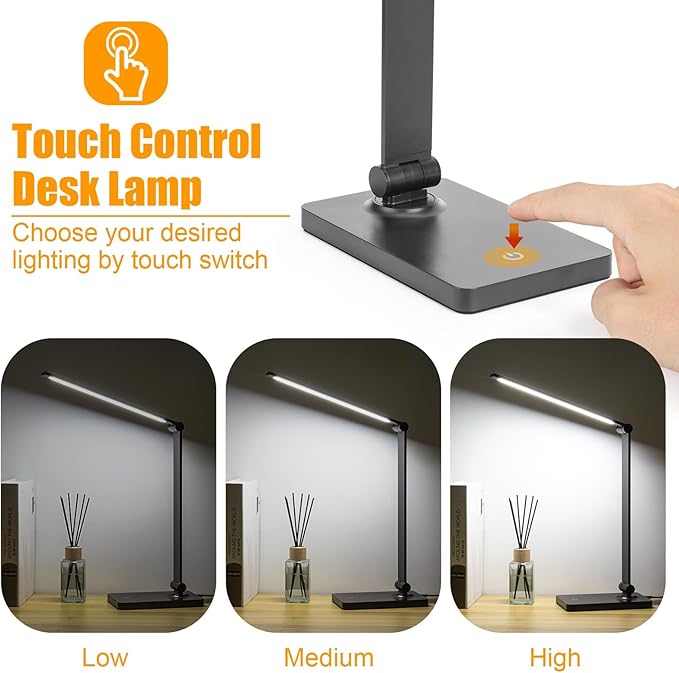 DWEPTU Rechargeable Desk Lamp LED Desk Lamps Eye-Caring Desk Lamps Dimmable Office Lamp with USB Chager Touch Control for Home Office Student Dormitory